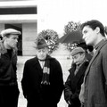 La Commedia all'italiana: ad Andria una rassegna ad ingresso gratuito
