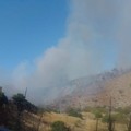 Incendi sulla Murgia andriese: in fumo seminativi e semiarborato