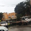 Crolla un albero in via Malpighi ad Andria