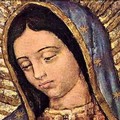 Festa della Madonna di Guadalupe presso la Parrocchia Cuore Immacolato di Maria ad Andria