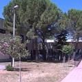 La scuola ” Imbriani-Salvemini” affronta l'emergenza Covid-19 con la didattica a distanza