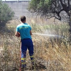 Incendio di sterpaglie in via Vecchia Barletta: intervento della Misericordia