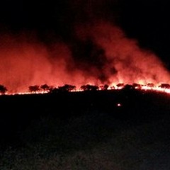 Cinque ettari in fiamme a Lama di Corvo nei pressi di Montegrosso