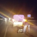 Grosso cane investito sulla strada tangenziale