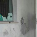 "Gabelli ", vandali nella notte all'esterno dell'asilo nido