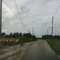 Chiusa al traffico via Malpighi per caduta pali