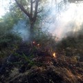 Notte di paura in contrada Abbondanza: fuoco nel bosco, 4 ettari distrutti