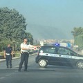 Sterpaglie a fuoco sulla provinciale Andria-Trani, disagi per il traffico