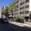 Rami caduti per strada bloccano circolazione in via Montegrappa