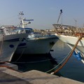 Fine fermo pesca: torna il pesce fresco in tavola ed al ristorante