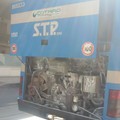 La Stp punta sull'innovazione, presi 33 nuovi bus