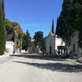I tumuli lungo il viale centrale del Cimitero di Andria