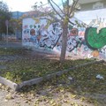 Degrado ed abbandono in via Cosimo Di Ceglie