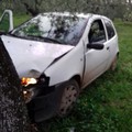 Inseguimento di ladri di olive su via Corato