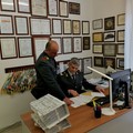 Operazione  "Drug Castle " della Gdf, sequestrato patrimonio coppia andriese