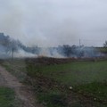 Incendio a pochi chilometri dal Castel del Monte