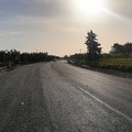 S.P. Andria-Bisceglie, giovedì 24 maggio la riapertura ufficiale