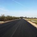 Rinvio per la riapertura della s.p. Andria-Bisceglie: il d-day sarà adesso il 1° giugno