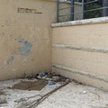 Villa comunale, la denuncia del Pd di Andria: "Un polmone verde irriconoscibile "