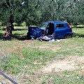 Meno incidenti mortali in Puglia, Giannini: «Dati in controtendenza rispetto agli anni scorsi»