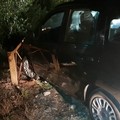 Fiat Panda rubata e recuperata nel giro di poche ore, grazie all'intervento della Vigilanza giurata