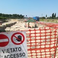 Scoperta archeologica durante i lavori di ampliamento della provinciale 2 ad Andria