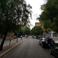 Potatura alberi: divieti al traffico su via Aldo Moro e via Appiani dal 12 al 14 dicembre