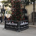 Spunta un albero di Natale nelle vie del centro cittadino
