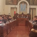 Crisi olivicola: il Consiglio comunale unito sostiene il comparto agricolo
