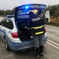 Predoni georgiani arrestati dalla Polstrada: agivano sulle aree di servizio dell'A14