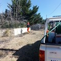 Continua la campagna antincendio boschivo 2019 da parte del Nucleo Volontariato Città di Andria