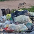 Quando l'abbandono e il degrado regnano sovrani