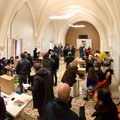 Il centrosinistra di Andria alle primarie, ecco i dati della partecipazione
