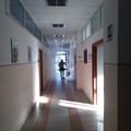 Scuola, ad Andria la didattica in presenza riprende giovedì 12 novembre