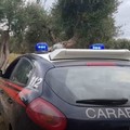 Festa dell'Arma dei Carabinieri: 4 militari del Comando provinciale di Bari premiati per operazione anti crimine svolta ad Andria