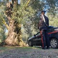 Rubano autovettura ad anziano agricoltore, dopo averlo seguito: indagano i Carabinieri