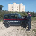 Sequestrati tre trulli ai piedi di Castel del Monte ad Andria