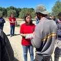 Caldo e operai agricoli a rischio, Flai Bat:  "I sindaci che fanno? "