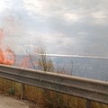 Ad Andria grosso incendio di sterpaglie a ridosso della tangenziale