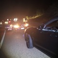 Furto d'auto sventato sulla Corato-Castel del Monte: Vigilanza Giurata mette i ladri in fuga