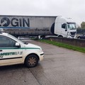 Incidente sulla SP231 in direzione Andria: camion invade la corsia opposta