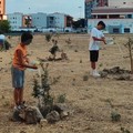 Polemica verde ad Andria: l'associazione 3Place risponde al Comune sul "Bosco Urbano " di Via Ceruti