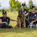 Aperte le iscrizioni al corso per Guardie zoofile dell'Oipa Bat