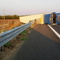 Camion con angurie si ribalta sull'A14 tra Andria e Trani