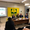 In Puglia diminuiscono le imprese agricole condotte da giovani