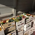 Oltre 500 famiglie bisognose e tanti senza tetto ricevono cibo recuperato dalla festa di Megamark S.p.A.