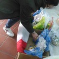 CasaPound raccoglie e distribuisce uova di Pasqua per i bambini di famiglie in difficoltà 