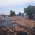 Campagna antincendio boschivo 2019: nella Bat già 90 gli interventi effettuati