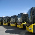 Ferrotramviaria, da stamane nuove corse aggiuntive automobilistiche