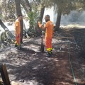 La Regione Puglia ha ufficialmente dichiarato lo stato di crisi e di emergenza per incendi boschivi